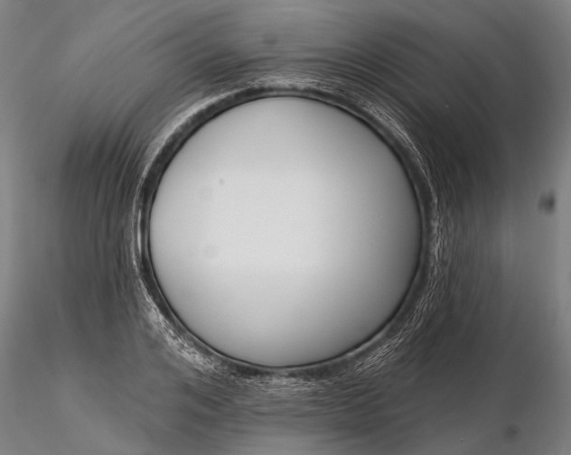 X0000116300984200912141331