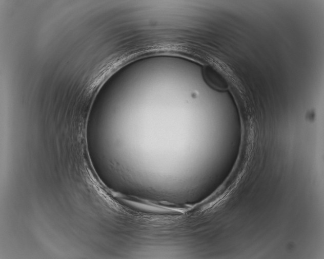 X0000116300985200912141331