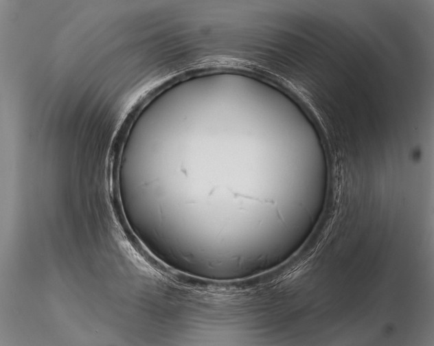 X0000116300987200912141331