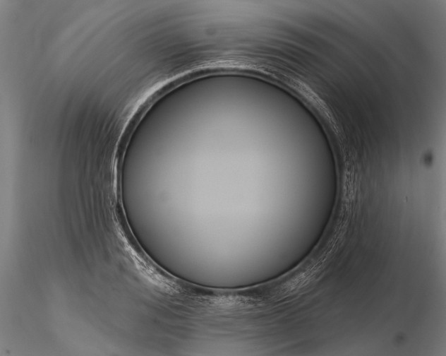 X0000116300988200912141331