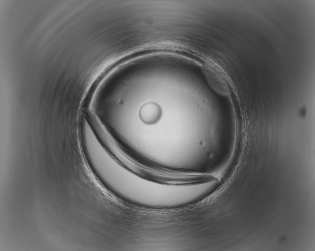 X0000116300989200912141331