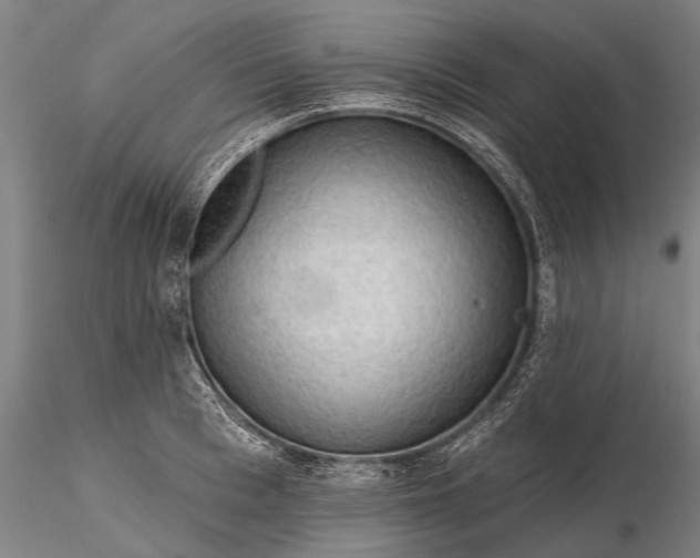 X0000116300993200912141331