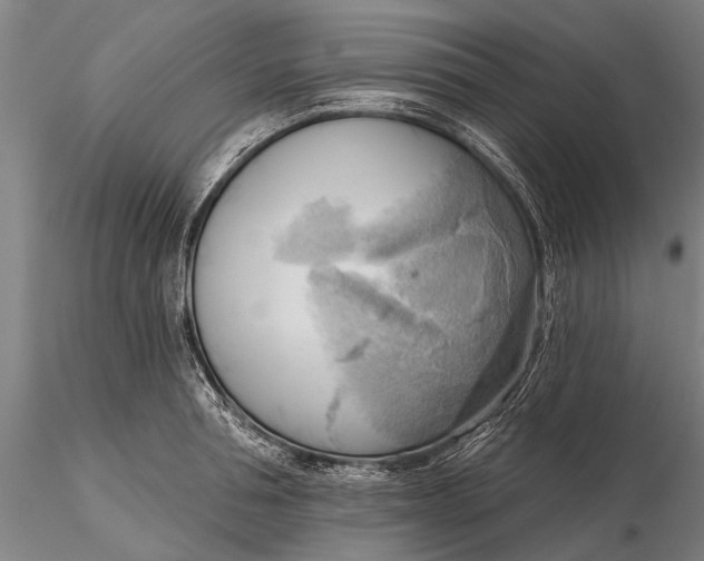 X0000116300994200912141331