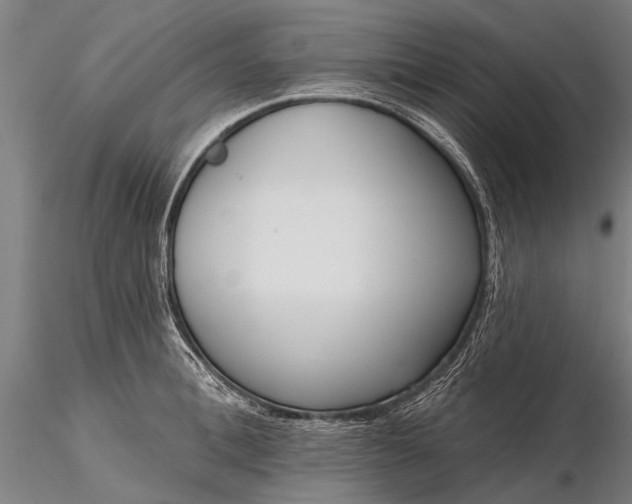 X0000116300996200912141331