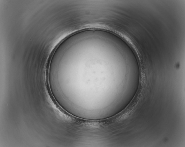 X0000116300999200912141331