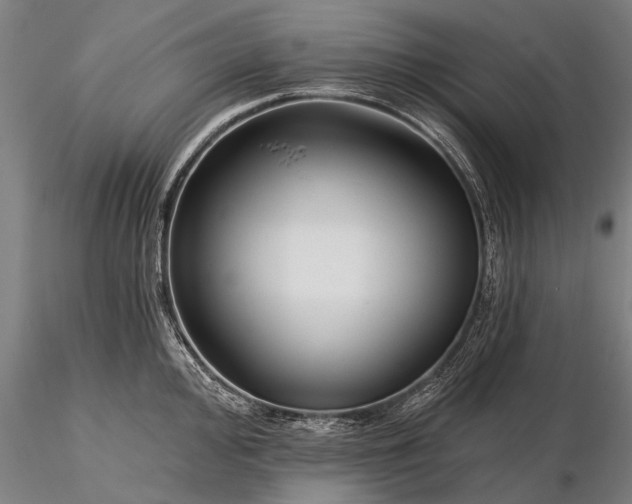 X0000116301000200912141331