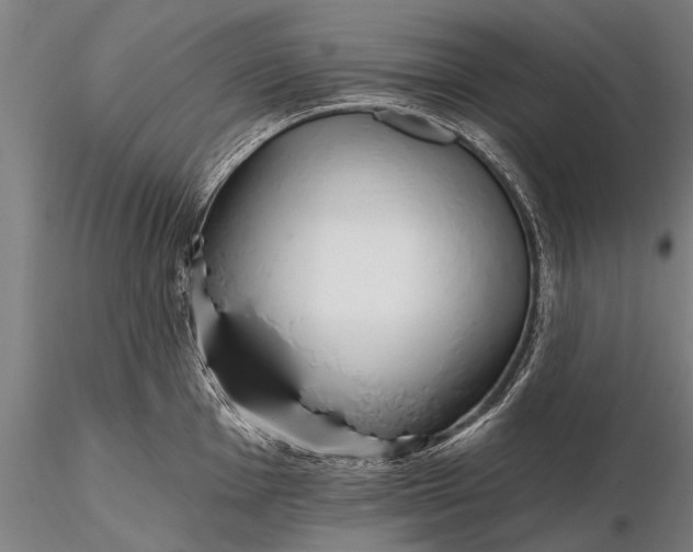 X0000116301001200912141331