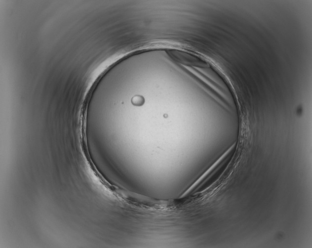 X0000116301003200912141331