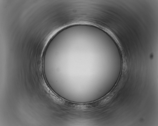 X0000116301004200912141331