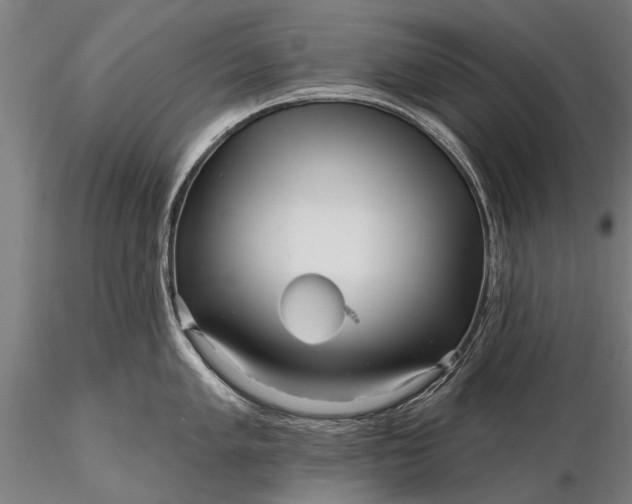 X0000116301005200912141331