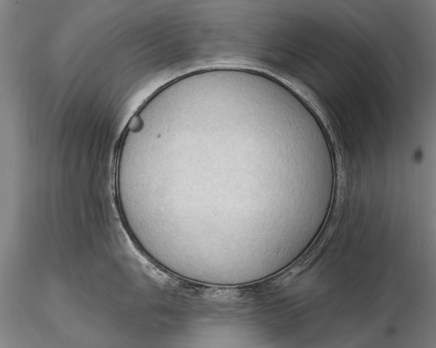 X0000116301006200912141331