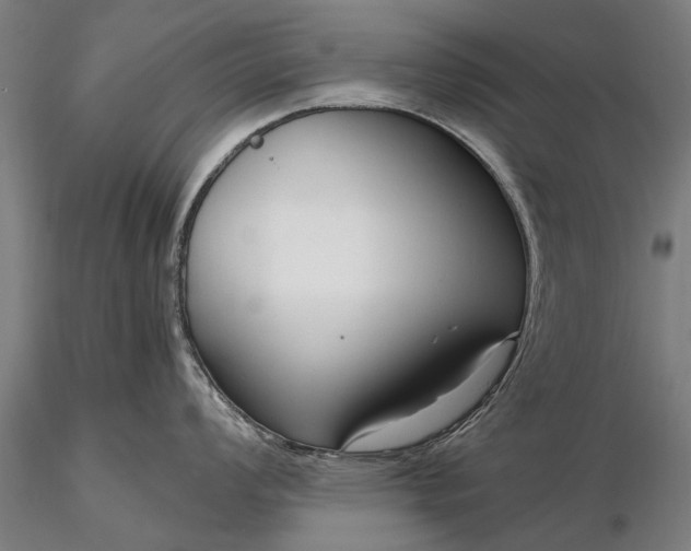 X0000116301008200912141330