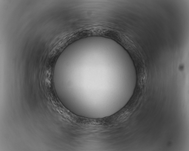 X0000116301010200912141330