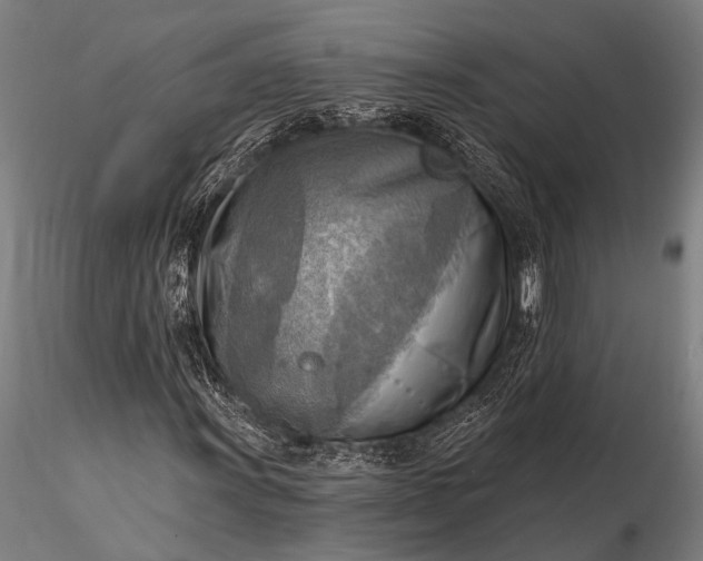 X0000116301011200912141330