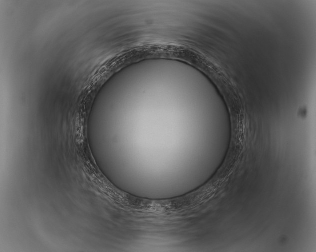 X0000116301013200912141330