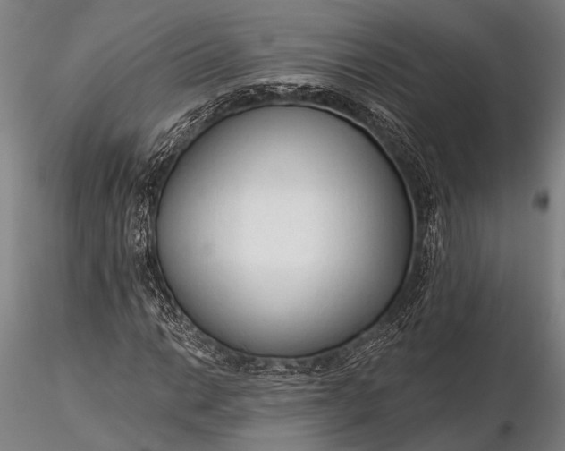 X0000116301014200912141330