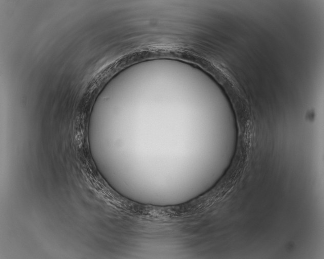 X0000116301015200912141330