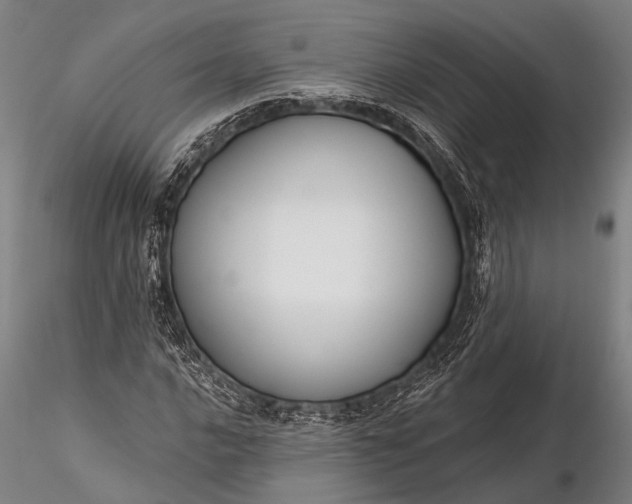 X0000116301016200912141330