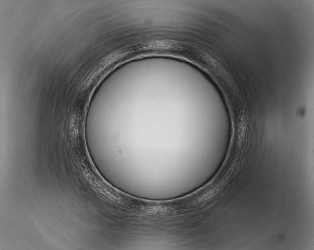 X0000116301017200912141330