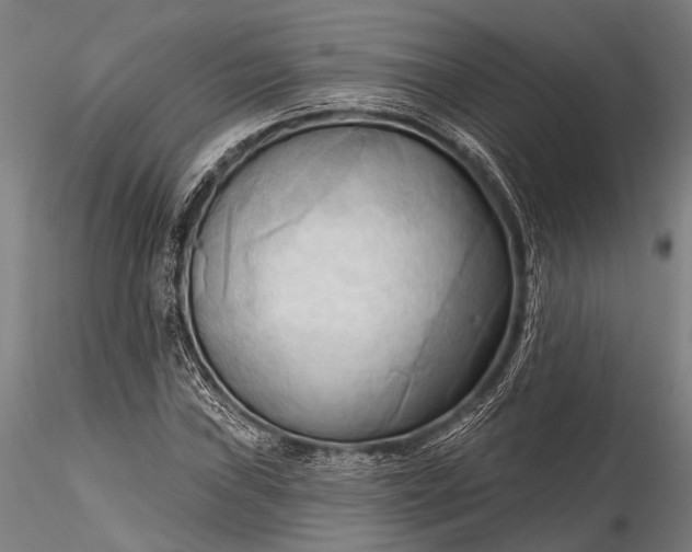 X0000116301019200912141330