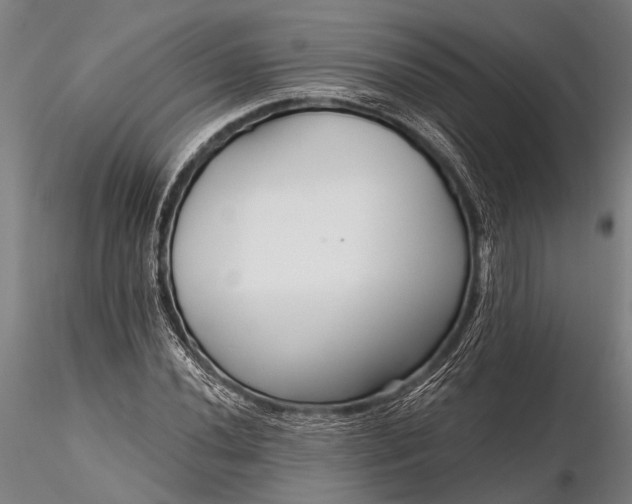 X0000116301020200912141330