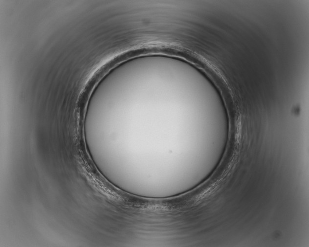 X0000116301021200912141330