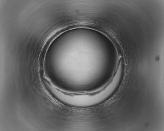 X0000116301024200912141330