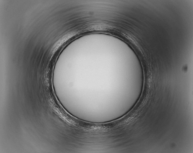 X0000116301026200912141330