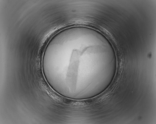 X0000116301027200912141330