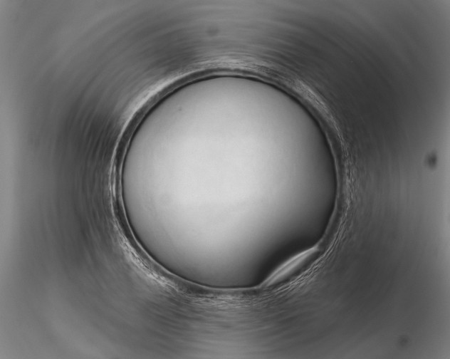 X0000116301028200912141330