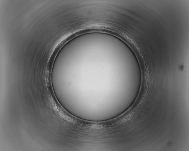 X0000116301029200912141330