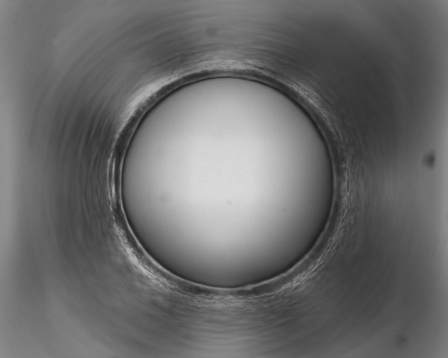 X0000116301030200912141330