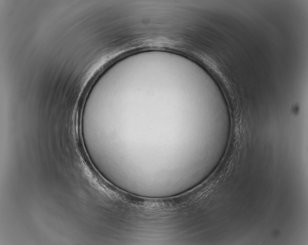 X0000116301032200912141330