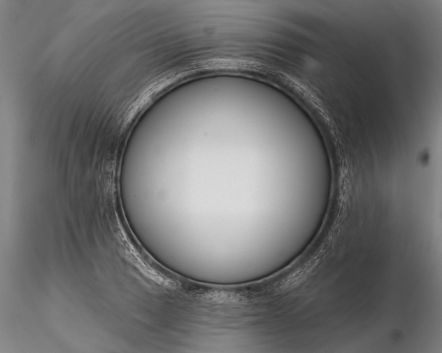 X0000116301033200912141330