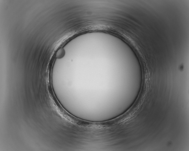 X0000116301034200912141330