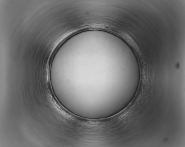 X0000116301036200912141330