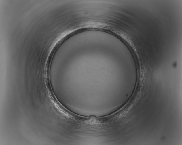 X0000116301037200912141330