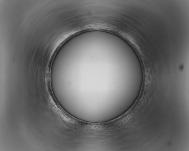 X0000116301040200912141330