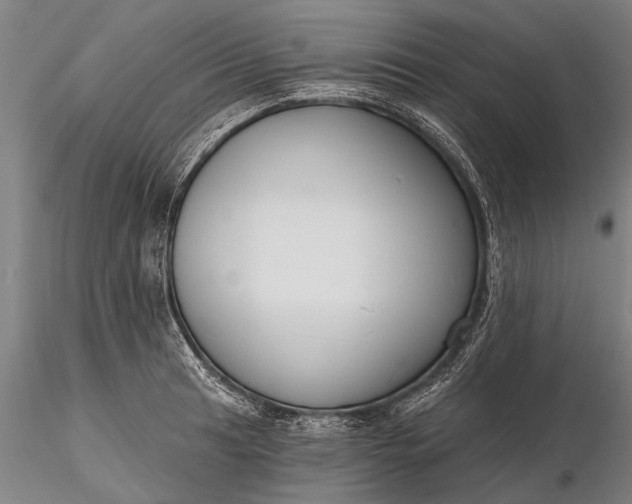 X0000116301041200912141330