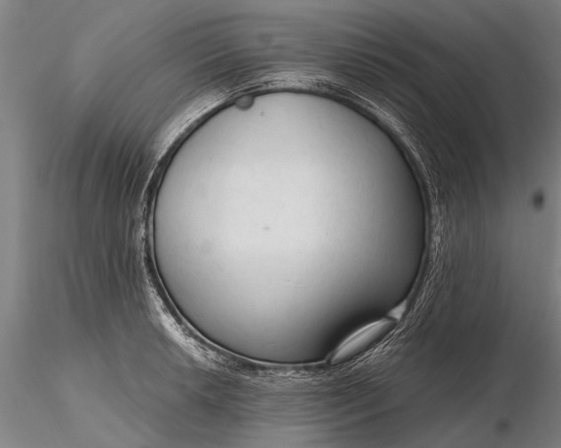 X0000116301042200912141330