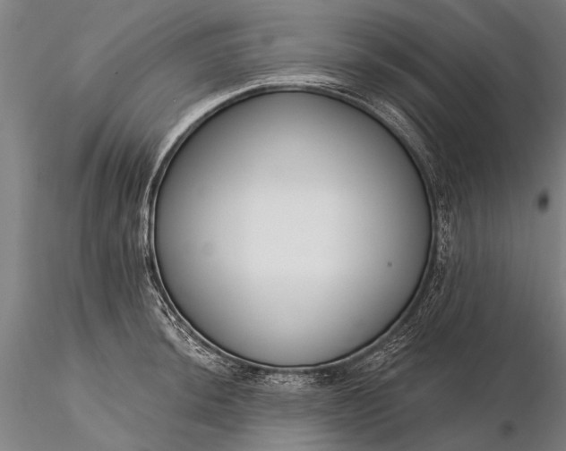 X0000116301044200912141330