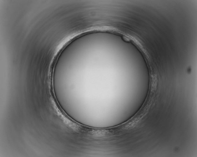 X0000116301046200912141330