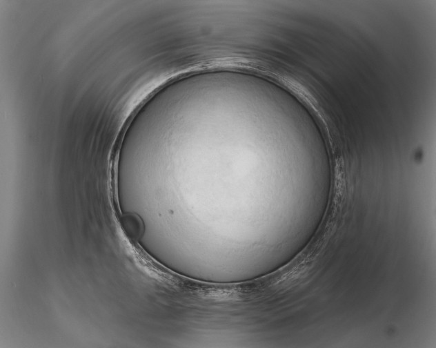 X0000116301047200912141330