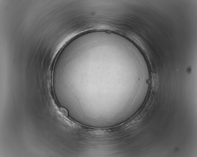 X0000116301048200912141330