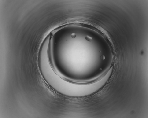 X0000116301051200912141330