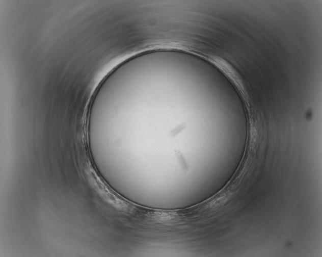 X0000116301052200912141330