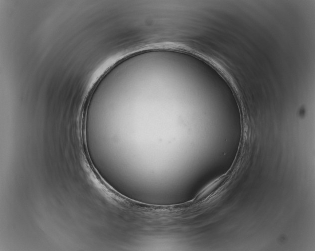 X0000116301054200912141330