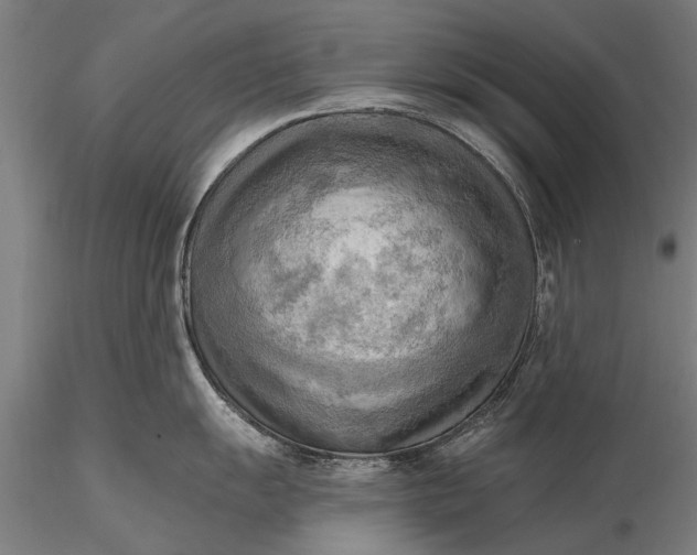 X0000116301055200912141330