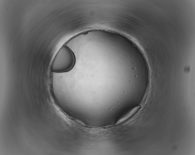 X0000116301056200912141330