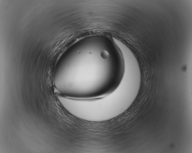 X0000116301060200912141330